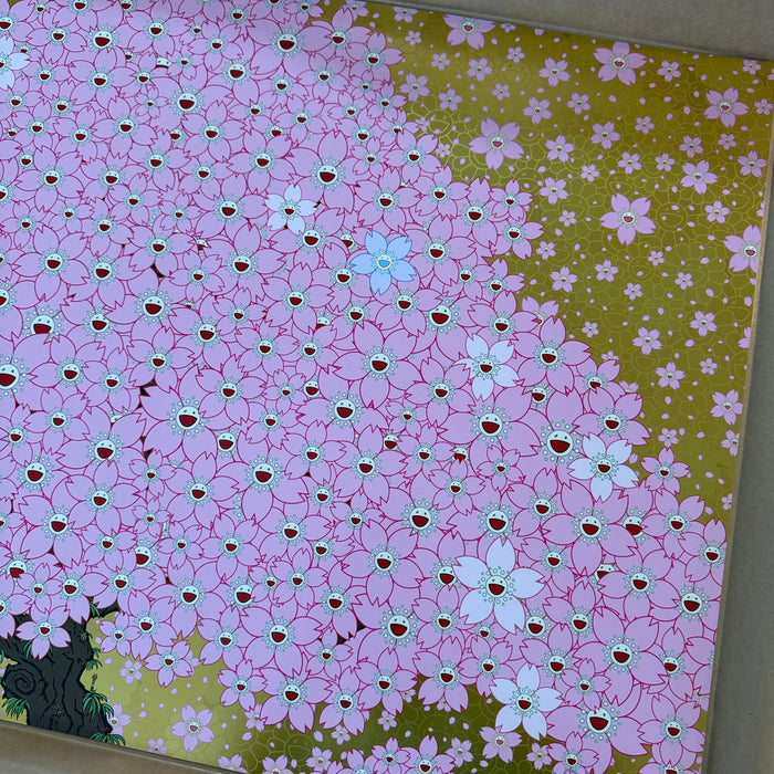 Cherry Blossoms Are in Full Bloom