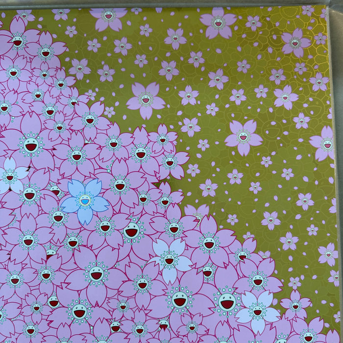 Cherry Blossoms Are in Full Bloom