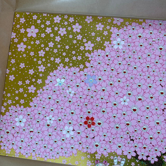Cherry Blossoms Are in Full Bloom
