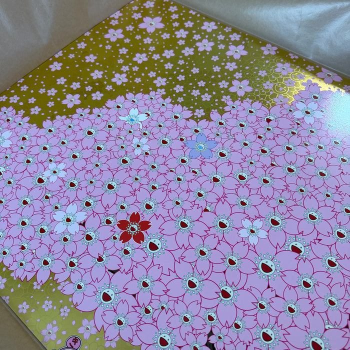 Cherry Blossoms Are in Full Bloom