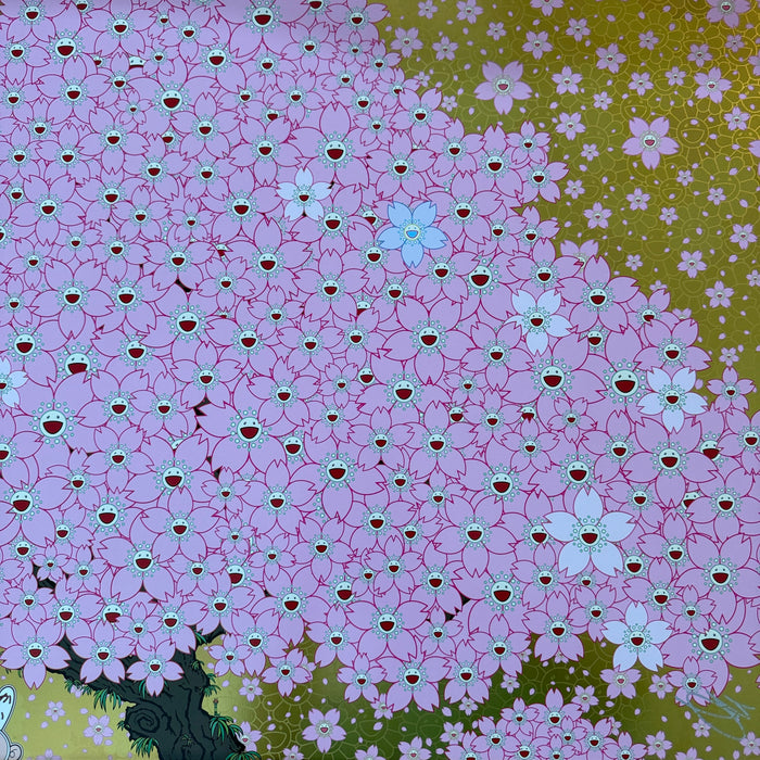Cherry Blossoms Are in Full Bloom