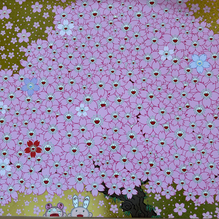 Cherry Blossoms Are in Full Bloom