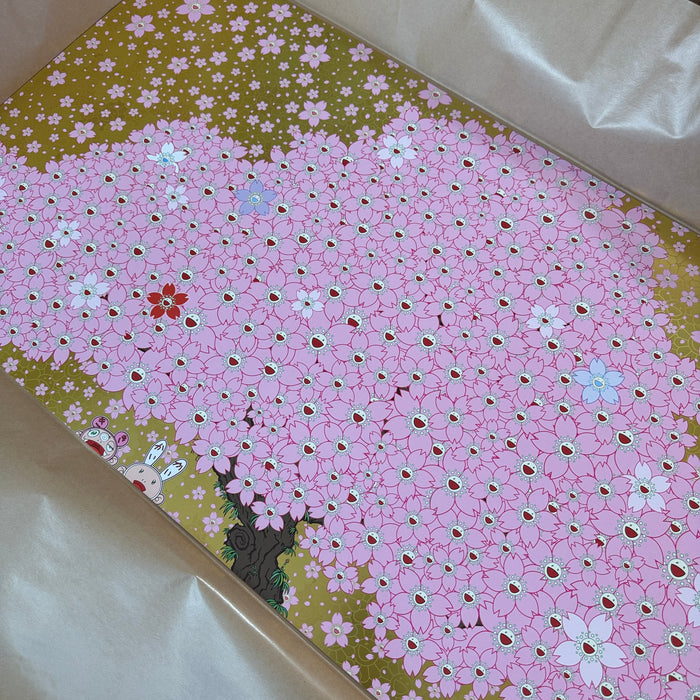 Cherry Blossoms Are in Full Bloom