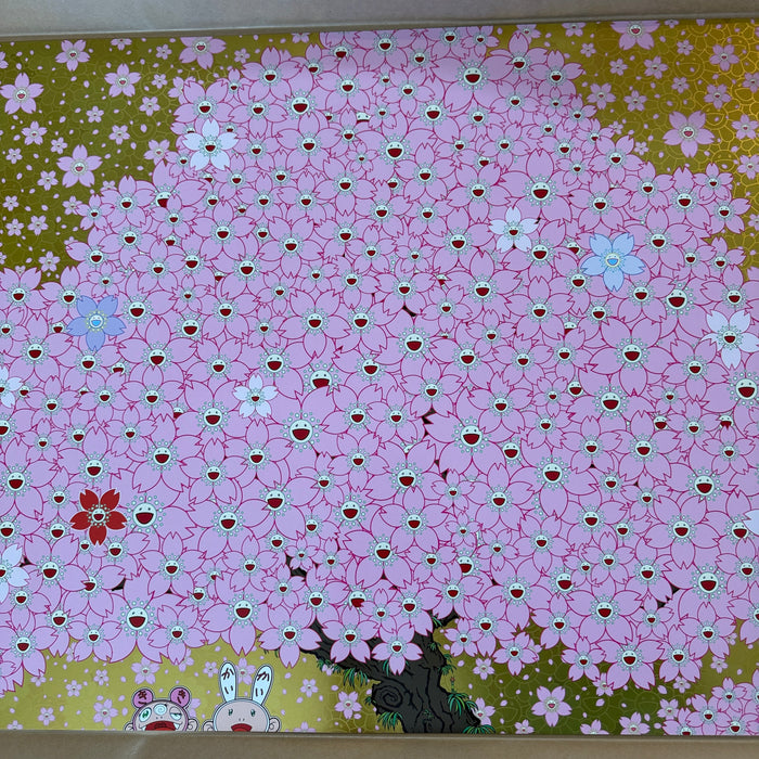 Cherry Blossoms Are in Full Bloom