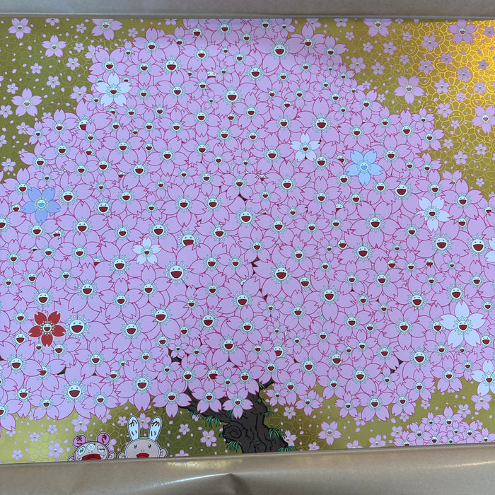 Cherry Blossoms Are in Full Bloom