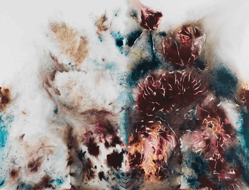 Cai Guo-Qiang - Yin-Yang Peonies, 2019
