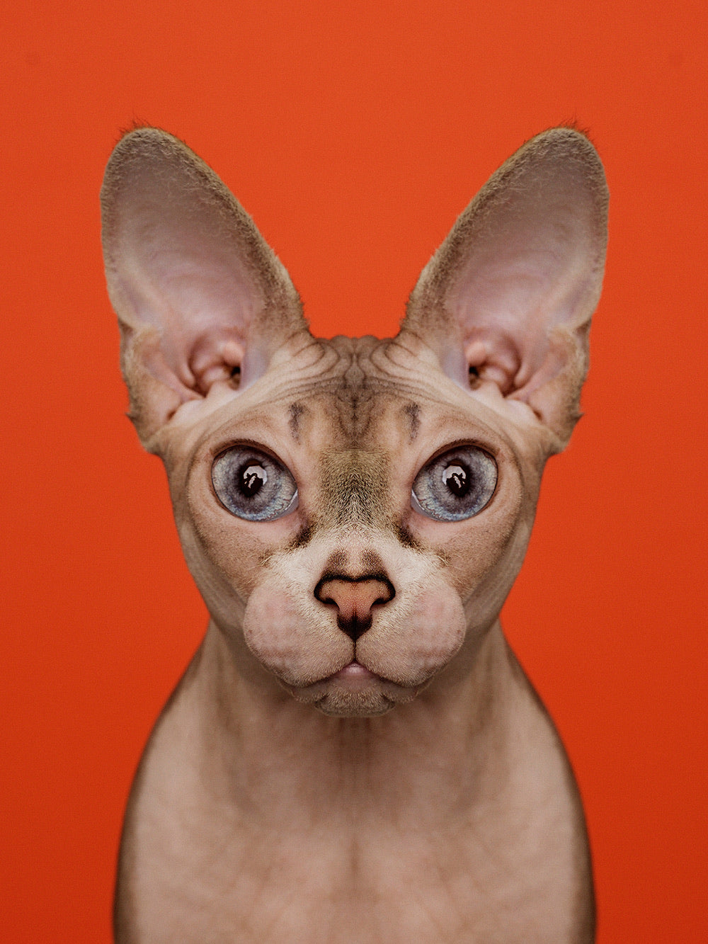 Symmetricat 