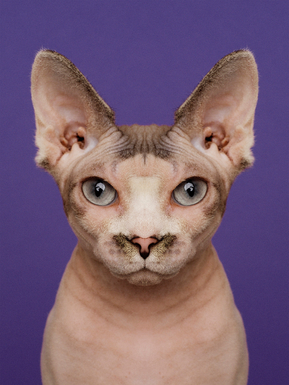 Symmetricat 