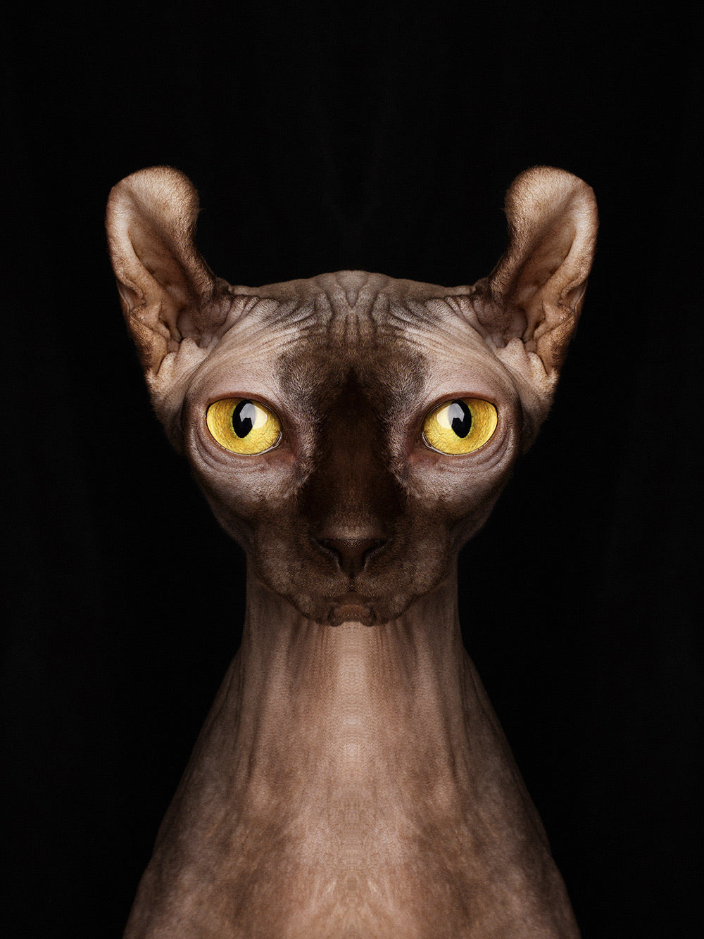 Symmetricat 