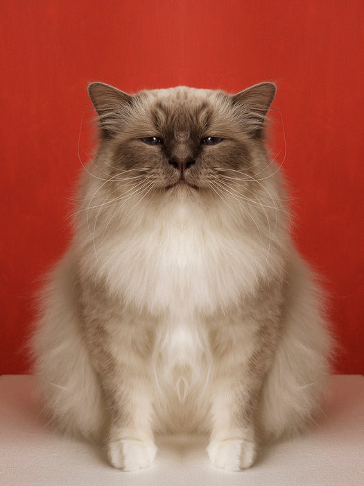 Symmetricat "Esaias"