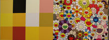 Load image into Gallery viewer, Acupuncture Flowers Checkers