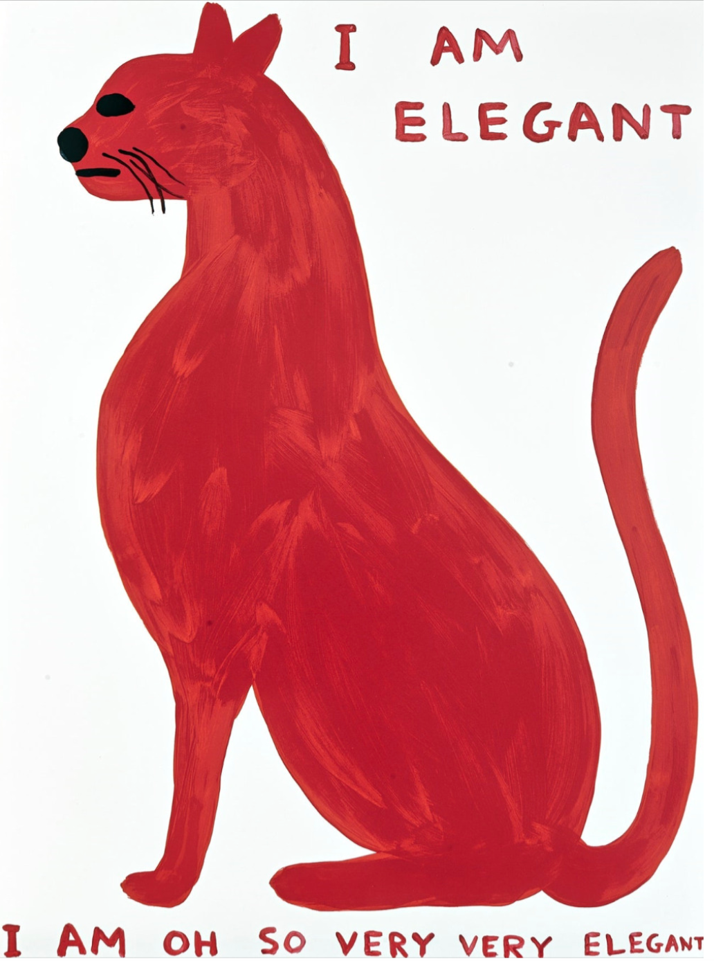 David Shrigley - I Am So Elegant